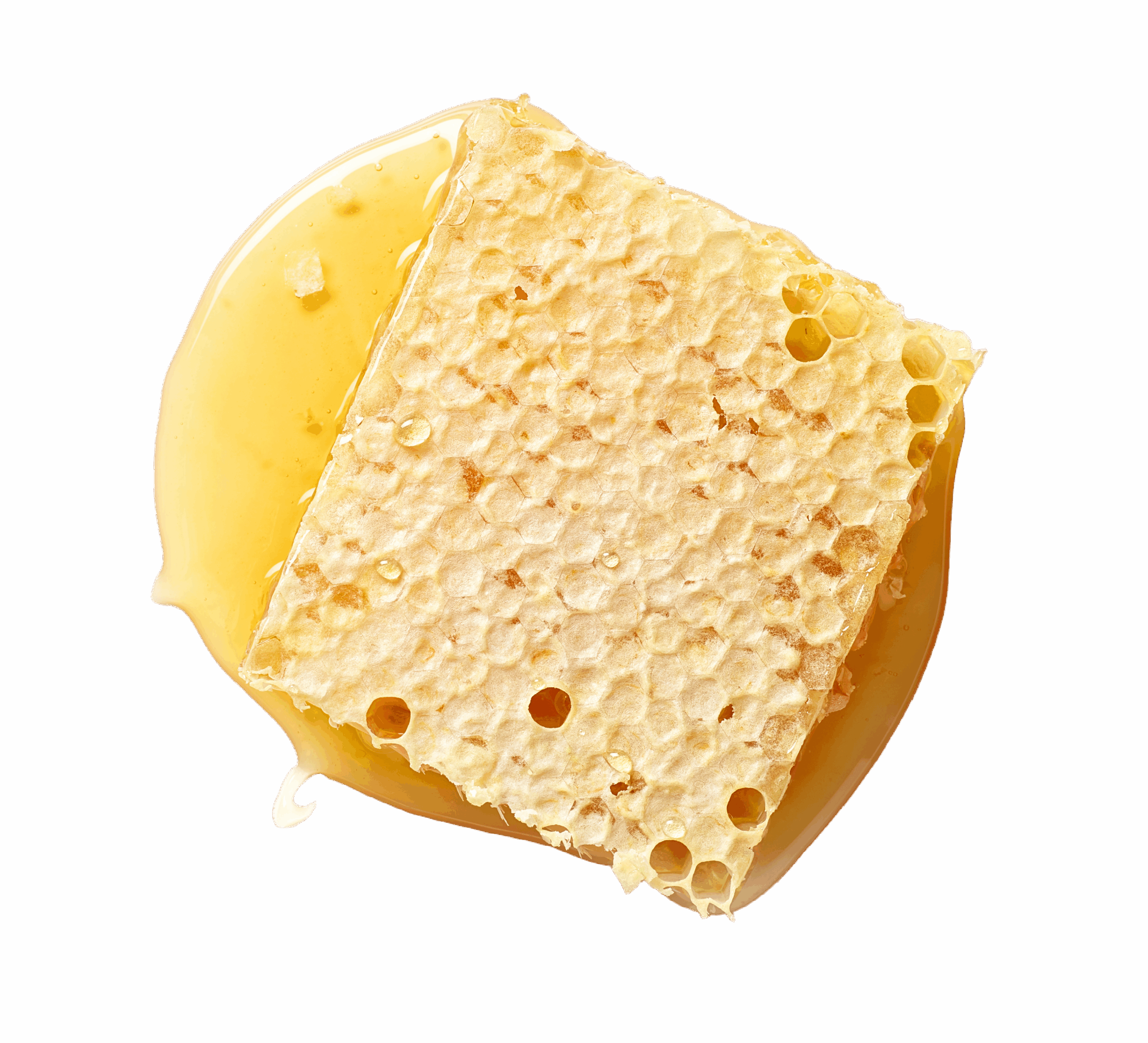 iStock ai modified aa ca a af ebefc