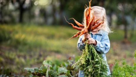 Little blond girl holding a fresh carrots in his hands