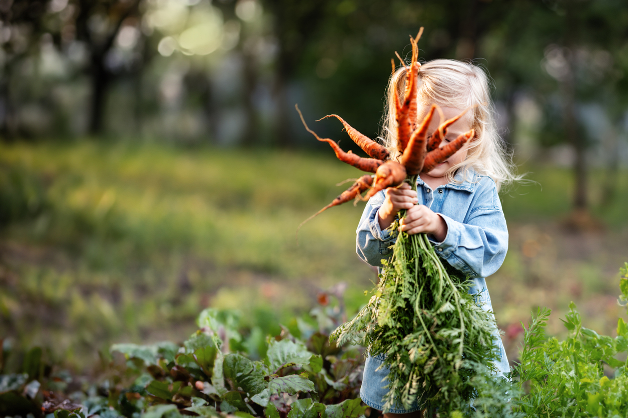 Raising Capable, Grounded Kids: How Our Nature-Based Homeschool Includes Chores, Business, and Real-Life Learning