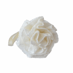 Exfoliating Bath Loofah