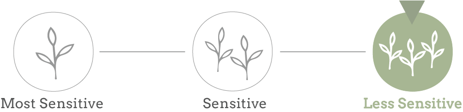 Sensitive skin products with botanical ingredients and essential oil blends
