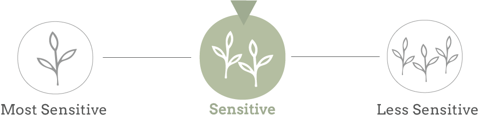 Sensitive skin products with a few carefully selected ingredient additions