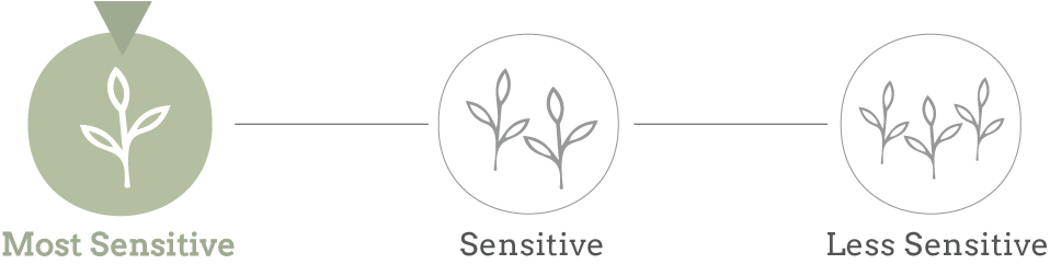 Unscented skincare products with minimal ingredients for highly sensitive skin