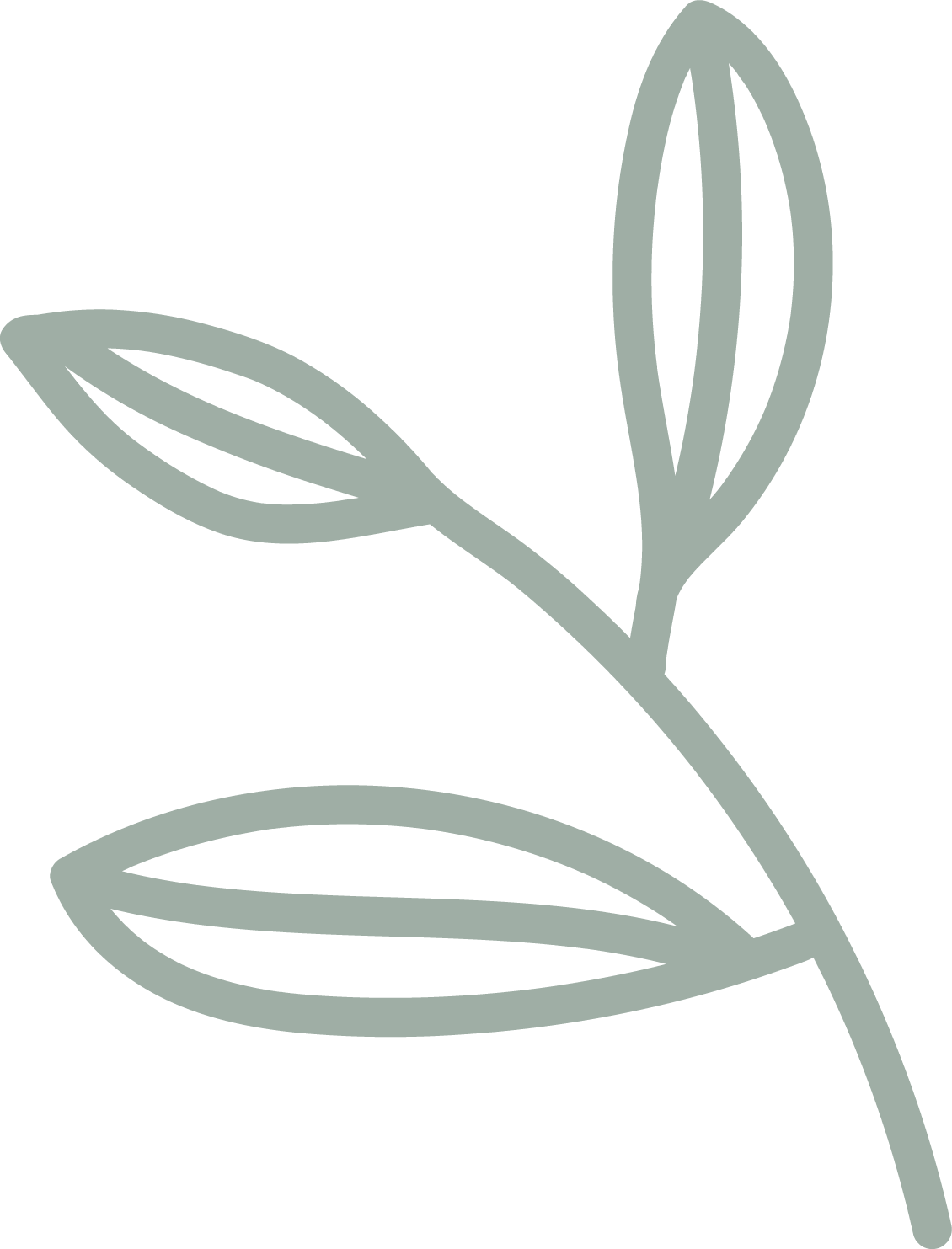 Asset lEAF