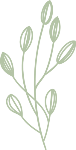 Asset lEAF Asset lEAF